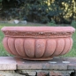 Preview: Impruneta Terracotta Blumenschale - Fiorera Maria